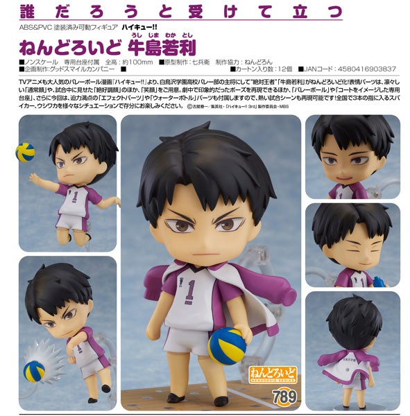 Haikyu!!: Wakatoshi Ushijima - Nendoroid