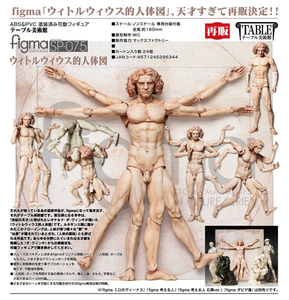 The Table Museum: Vitruvianischer Mensch - Figma