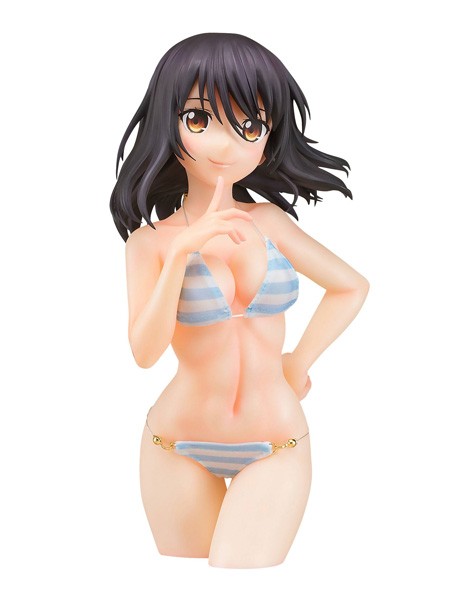 Strike the Blood:Yukina Himeragi Bikini 1/6 Scale PVC Statue