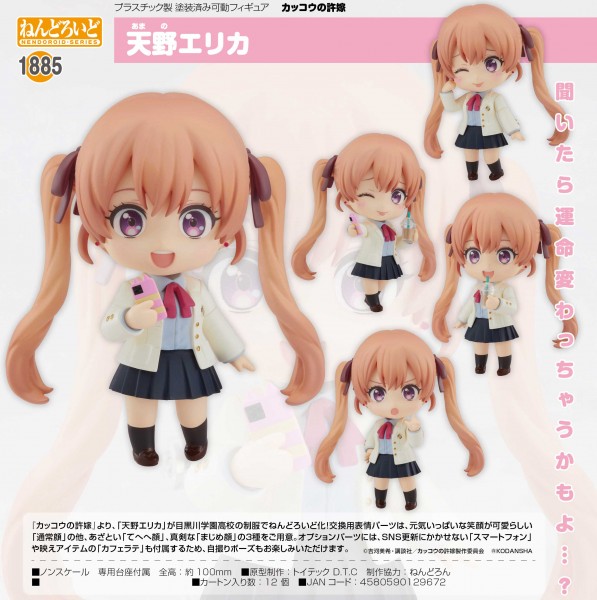 A Couple of Cuckoos: Erika Amano - Nendoroid